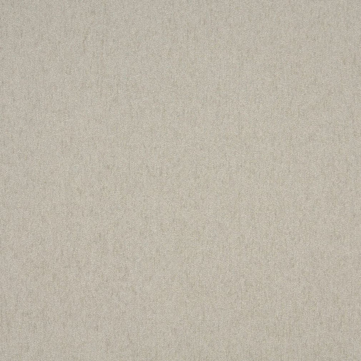 1848 Opal by Charlotte Fabric Chenille Classics III & Ring Book Page #92 84% Polyester, 16% Olefin Made In USA Exceeds 100,000 Wyzenbeek Rubs (Heavy Duty) No Repeat 54 Inches - Fabric Carolina -