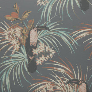 Le Toucan (Wp) # 05 Charcoal by 1838 Wallcoverings Wallpaper