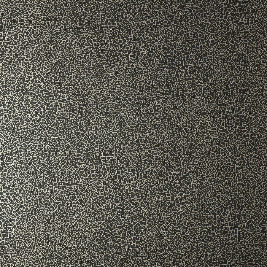 Emile (Wp) # 06 Jet by 1838 Wallcoverings Wallpaper Elodie NAN PASTE THE WALL UNITED KINGDOM V-10.25" 20.5"X11YD - Fabric Carolina -