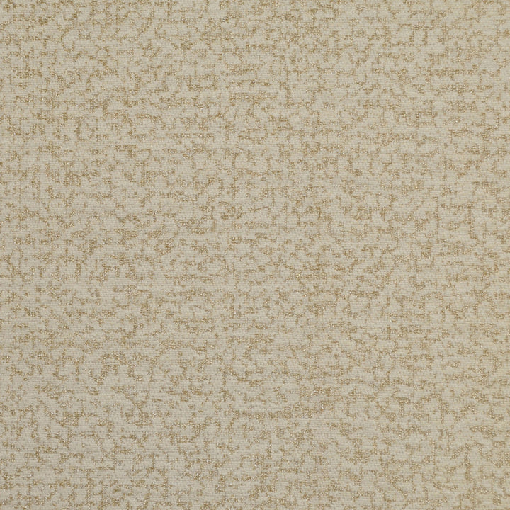 Sideshow Sea Salt 48 by P Kaufmann Fabrics Fabric