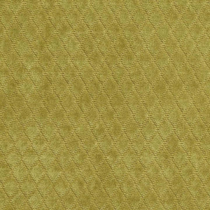 1914 Meadow by Charlotte Fabric Ring book page #21A 100% Woven Polyester Asia Exceeds 120,000 Wyzenbeek Rubs (Heavy Duty) </p><p>Repeat: Horizontal: .5" x Vertical: 1" 54 Inches - Fabric Carolina -