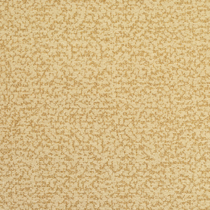Sideshow Sunshine 150 by P Kaufmann Fabrics Fabric
