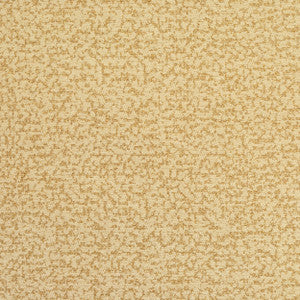 Sideshow Sunshine 150 by P Kaufmann Fabrics Fabric