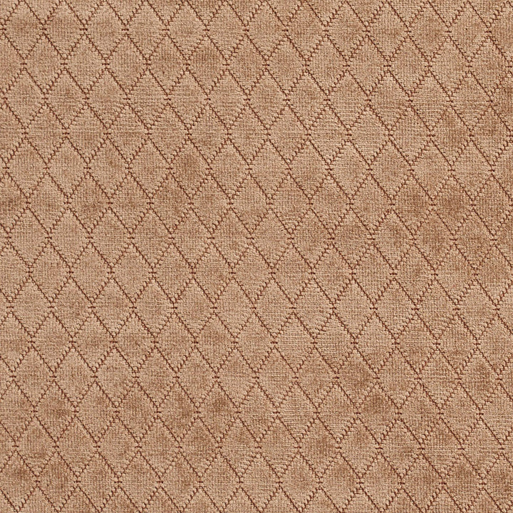 1916 Fawn by Charlotte Fabric Ring book page #21A 100% Woven Polyester Asia Exceeds 100,000 Wyzenbeek Rubs (Heavy Duty) Horizontal: .5" x Vertical: 1" 54 Inches - Fabric Carolina -