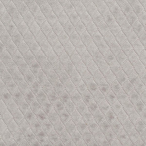1920 Platinum by Charlotte Fabric