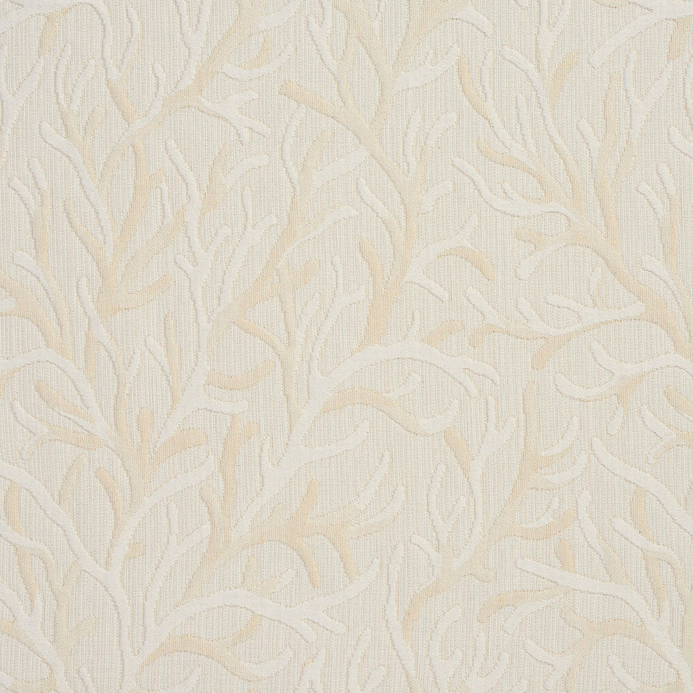 1929 Champagne Meadow by Charlotte Fabric Naturally Naturals III & Ring Book Page #96 52% Cotton, 48% Polyester Italy Exceeds 60,000 Wyzenbeek Rubs (Heavy Duty) Horizontal: 12.5" x Vertical: 12.5" 54 Inches - Fabric Carolina -