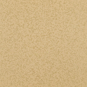 1947 629W5911 by JF Wallcovering