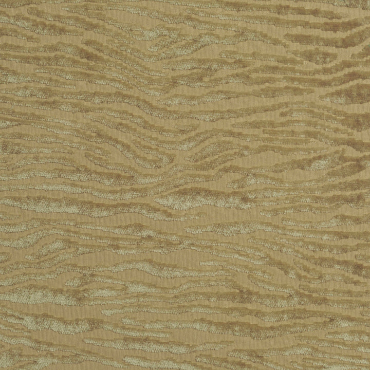 Spectral Gold Dust 148 by P Kaufmann Fabrics Fabric