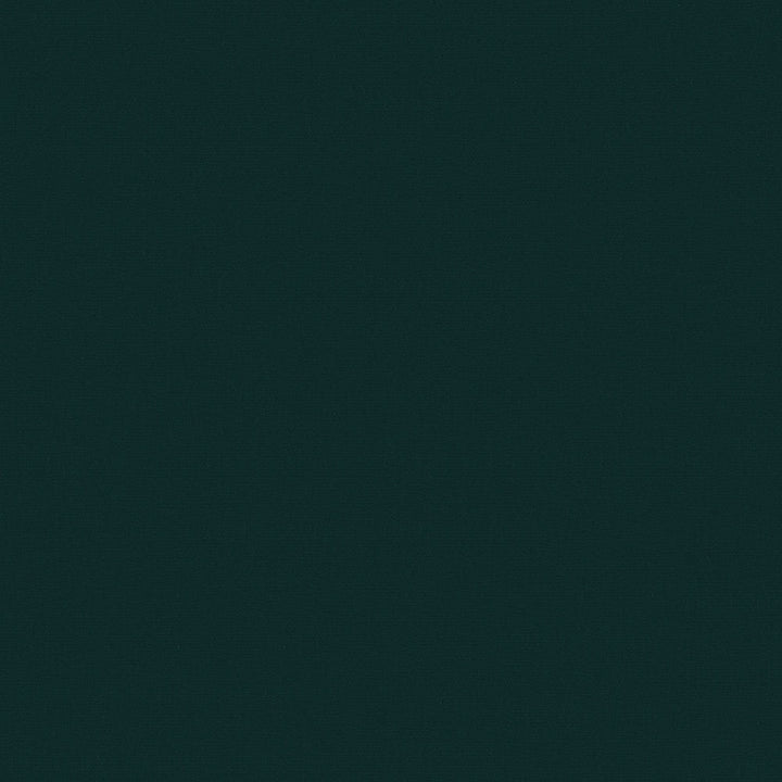 SolarShade Forest Green by Solarshade Fabric SolarShade 100% Solution Dyed Polyester 225,000 Double Rubs (Wyzenbeek) </p><p>Repeat: Horizontal: - and Vertical: - 60 in. (152 cm) - Fabric Carolina -