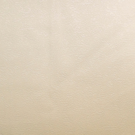 Pioneer - 01 by Europatex Fabric Pioneer 55% PVC, 40% Polyester, 5% Polyurethane China See Sample Horizontal: N/A and Vertical: N/A 55.00 inches  - Fabric Carolina -