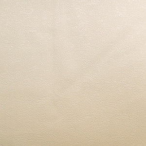 Pioneer 01 by Europatex Fabric