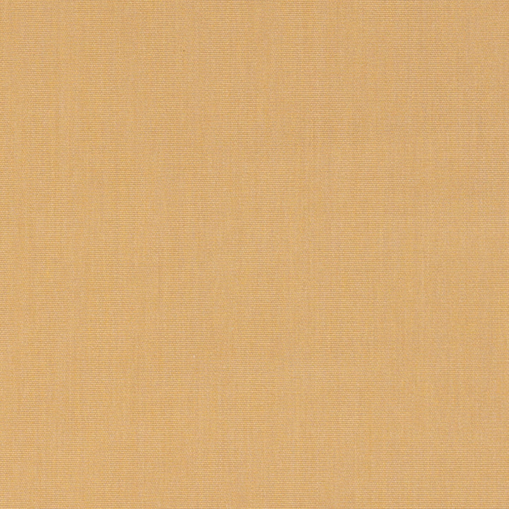 Canvas Harvest 14165-0000 by Sunbrella Fabric 100% Sunbrella® Acrylic 45000 Horizontal: and Vertical: 54 in. - Fabric Carolina -