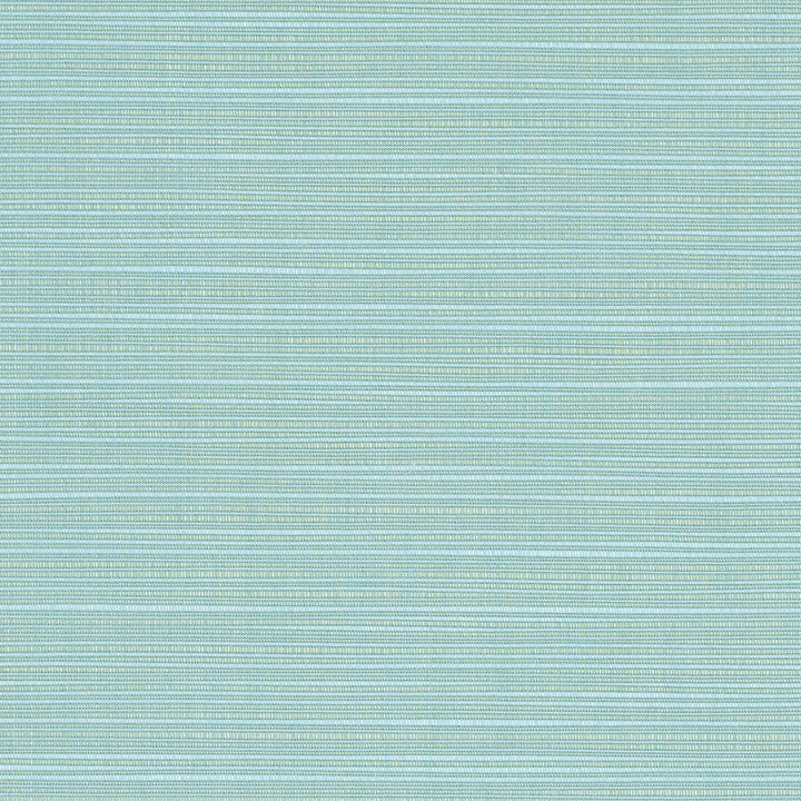8067 Dupione Celeste by Sunbrella Fabric Sunbrella Elements - Dupione Sunbrella® Acrylic, Sunbrella® Polyester, Sunbrella® Non-Phthalate PVC USA or Imported 5-Year Horizontal: and Vertical: 60 yd. 54 in. - Fabric Carolina -