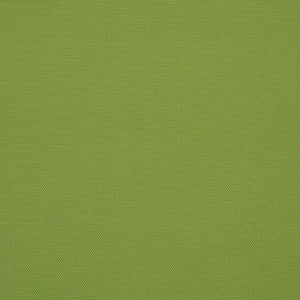54011 77 Rain Canvas Ginkgo by Sunbrella Fabric