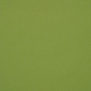 54011 77 Rain Canvas Ginkgo by Sunbrella Fabric