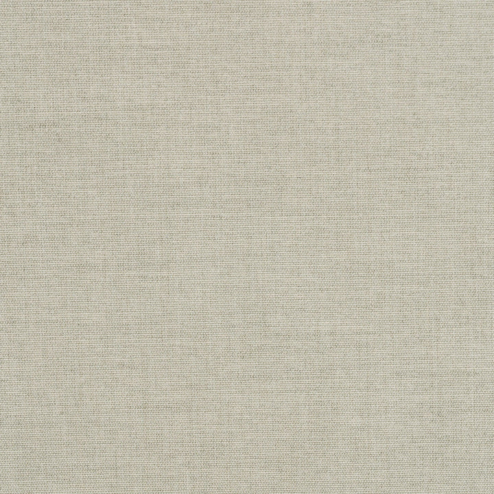 Play Sage 40616-0007 by Sunbrella Designer Fabric 98.3% Sunbrella® Acrylic, 1.7% Sunbrella® Polyester 30000 Horizontal: and Vertical: 54 in. - Swanky Fabrics -