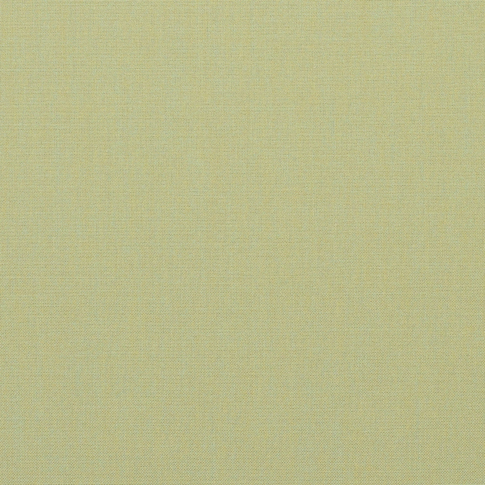 40061-0006 Meridian Patina by Sunbrella Fabric Sunbrella Acrylic USA or Imported 5-Year Horizontal: and Vertical: 60 54 in. - Fabric Carolina -