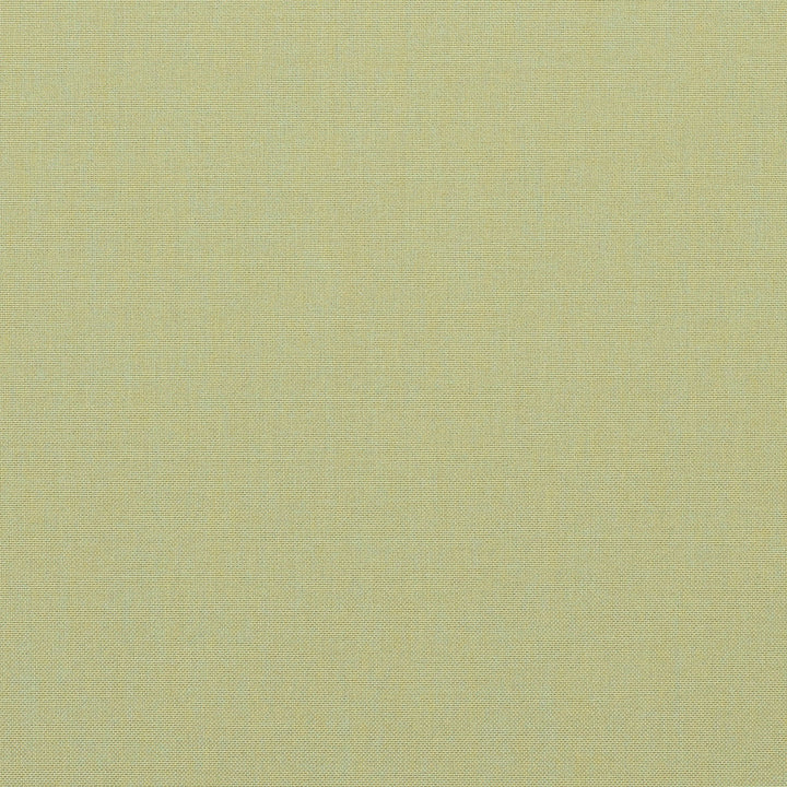 40061-0006 Meridian Patina by Sunbrella Fabric Sunbrella Acrylic USA or Imported 5-Year Horizontal: and Vertical: 60 54 in. - Fabric Carolina -
