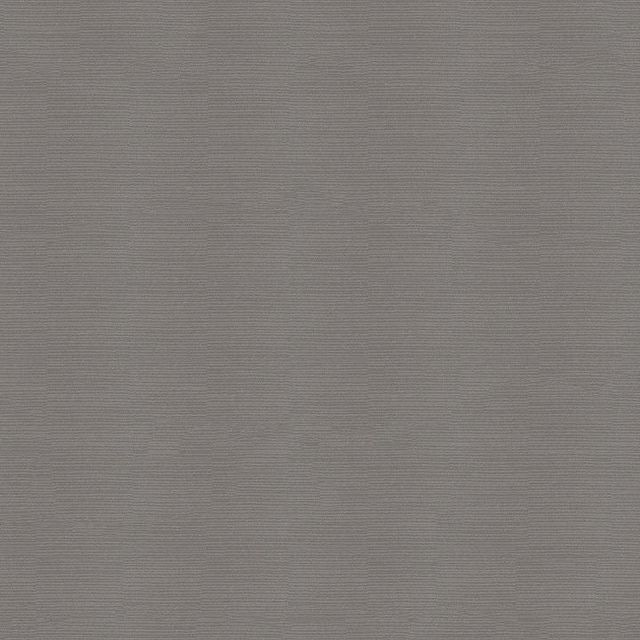 SolarShade Storm Gray by Solarshade Fabric SolarShade 100% Solution Dyed Polyester 225,000 Double Rubs (Wyzenbeek) </p><p>Repeat: Horizontal: - and Vertical: - 60 in. (152 cm) - Fabric Carolina -