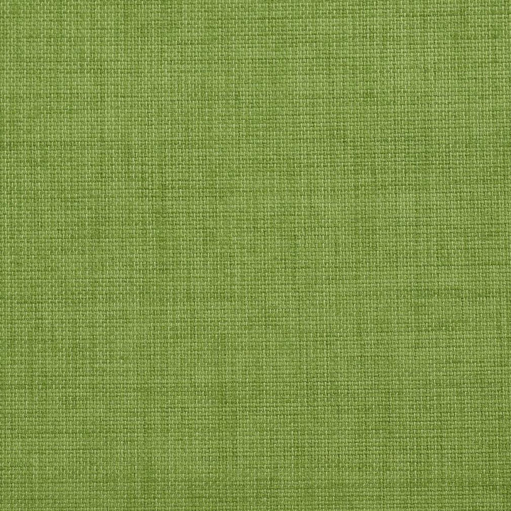 2000 Grass by Charlotte Fabric All Season Vol. 2 100% Woven Acrylic Made In USA Exceeds 50,000 Wyzenbeek Rubs (Heavy Duty) No Repeat 54 Inches - Fabric Carolina -