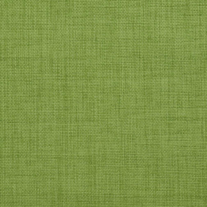 2000 Grass by Charlotte Designer Fabric All Season Vol. 2 100% Acrylic Made In USA Exceeds 50,000 Wyzenbeek Rubs (Heavy Duty) </p><p>Repeat: 54 Inches - Swanky Fabrics -