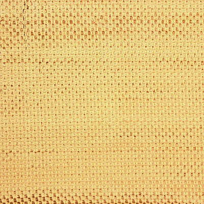 Leith Checkers Bisque by Lee Jofa Fabric