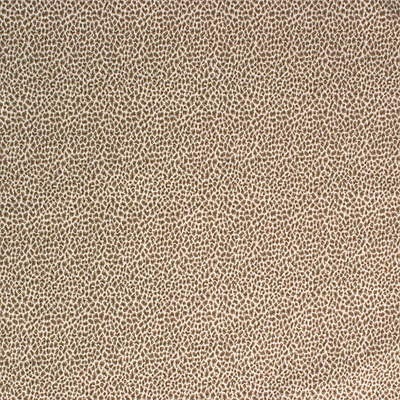 Durbar Leopard Ivory by Lee Jofa Fabric