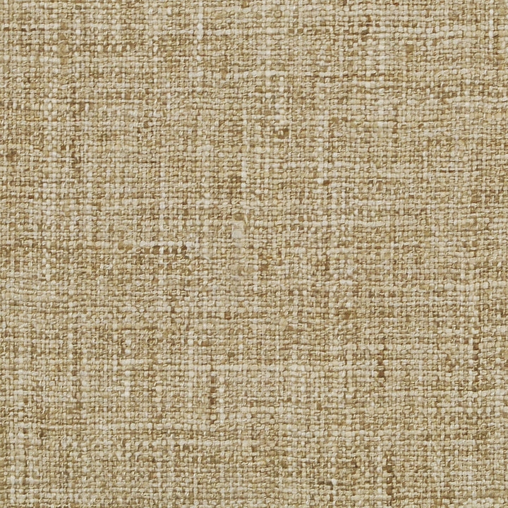 Speedy Harvest 127 by P Kaufmann Fabrics Fabric