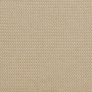 20060-03 by Charlotte Fabric
