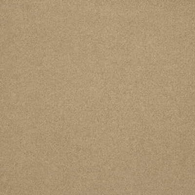 Flannelsuede Doe by Lee Jofa Fabric