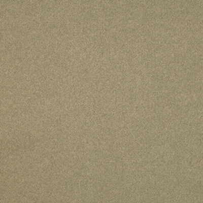 Flannelsuede Quartz by Lee Jofa Fabric