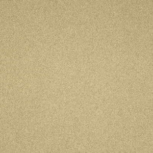 Flannelsuede Beach by Lee Jofa Fabric