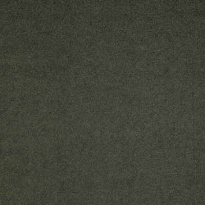 Flannelsuede Quarry by Lee Jofa Fabric ERIC COHLER DESIGN POLYESTER - 73%;NYLON - 15%;POLYURETHANE - 12% Japan HEAVY Horizontal: - and Vertical: - 56 - Fabric Carolina -