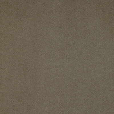 Flannelsuede Mink by Lee Jofa Fabric