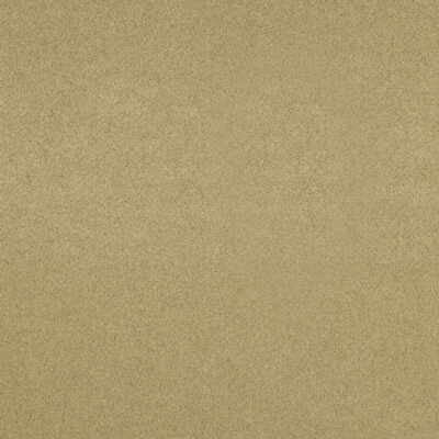 Flannelsuede Sand Dune by Lee Jofa Fabric ERIC COHLER DESIGN POLYESTER - 73%;NYLON - 15%;POLYURETHANE - 12% Japan HEAVY Horizontal: - and Vertical: - 56 - Fabric Carolina -