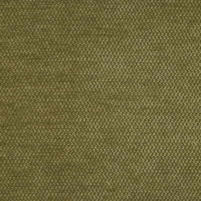 Club Cloth Fern by Lee Jofa Fabric