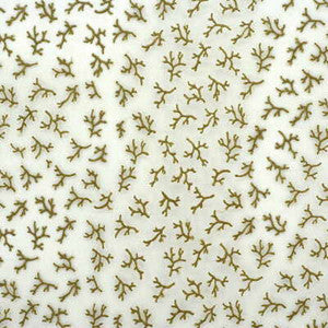 Oceana Sheer Mushroom by Lee Jofa Fabric