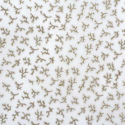 2007175.164.0 by Lee Jofa Fabric Lee Jofa Fabric 2007175.164.0Fabric SHEER OPULENCE SILK - 100% India </p><p>Repeat: H: 9, V: 8 52 - Fabric Carolina -