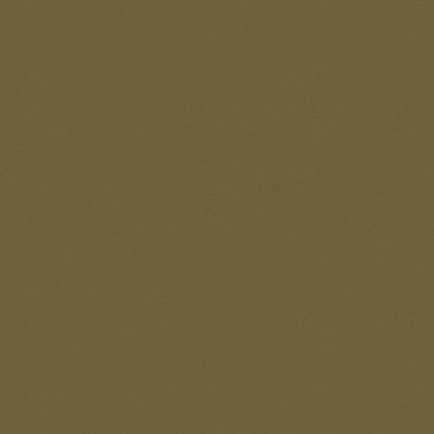 Romeo Velvet Sycamore by Lee Jofa Fabric - COTTON - 100% Italy HEAVY Horizontal: - and Vertical: - 54 - Fabric Carolina -