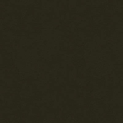 Romeo Velvet Slate by Lee Jofa Fabric - COTTON - 100% Italy HEAVY Horizontal: - and Vertical: - 54 - Fabric Carolina -