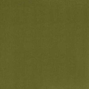 Romeo Velvet Basil by Lee Jofa Fabric
