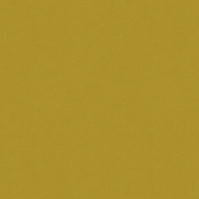 Romeo Velvet Goldenrod by Lee Jofa Fabric Lee Jofa Fabric Romeo Velvet GoldenrodFabric COTTON - 100% Italy </p><p>Repeat: H: , V: 54 - Fabric Carolina -