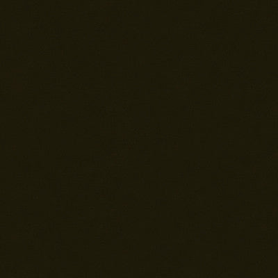 Romeo Velvet Smokey Topaz by Lee Jofa Fabric Lee Jofa Fabric Romeo Velvet Smokey TopazFabric COTTON - 100% Italy </p><p>Repeat: H: , V: 54 - Fabric Carolina -