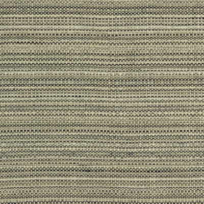 Gibraltar Silk Greige by Lee Jofa Fabric