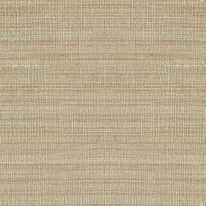 Spectre Silk Sand by Lee Jofa Fabric