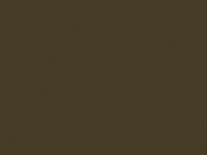 Montespan Satin Umber by Lee Jofa Fabric