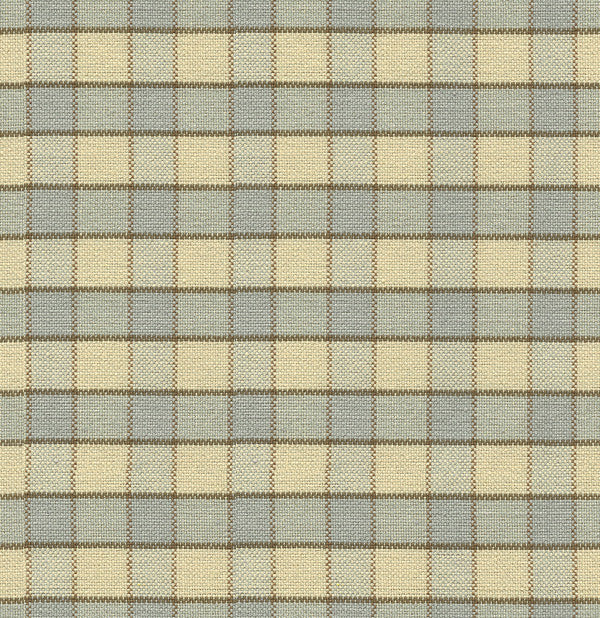 Winding Way Lichen by Lee Jofa Fabric