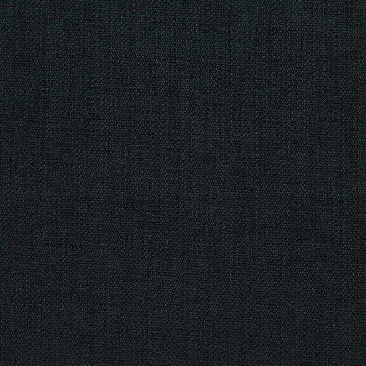 2010 Black by Charlotte Fabric All Season Vol. 2 100% Woven Acrylic Made In USA Exceeds 50,000 Wyzenbeek Rubs (Heavy Duty) No Repeat 54 Inches - Fabric Carolina -