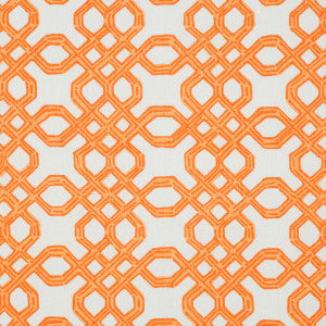 Well Connected Clementine by Lee Jofa Fabric
