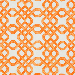 Well Connected Clementine by Lee Jofa Fabric